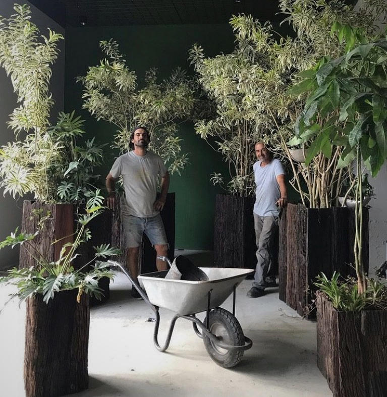 PALÁN PALÁN VIVERO DE CERCANÍA