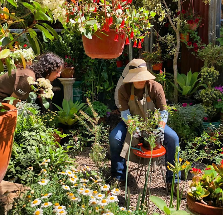 PALÁN PALÁN VIVERO DE CERCANÍA