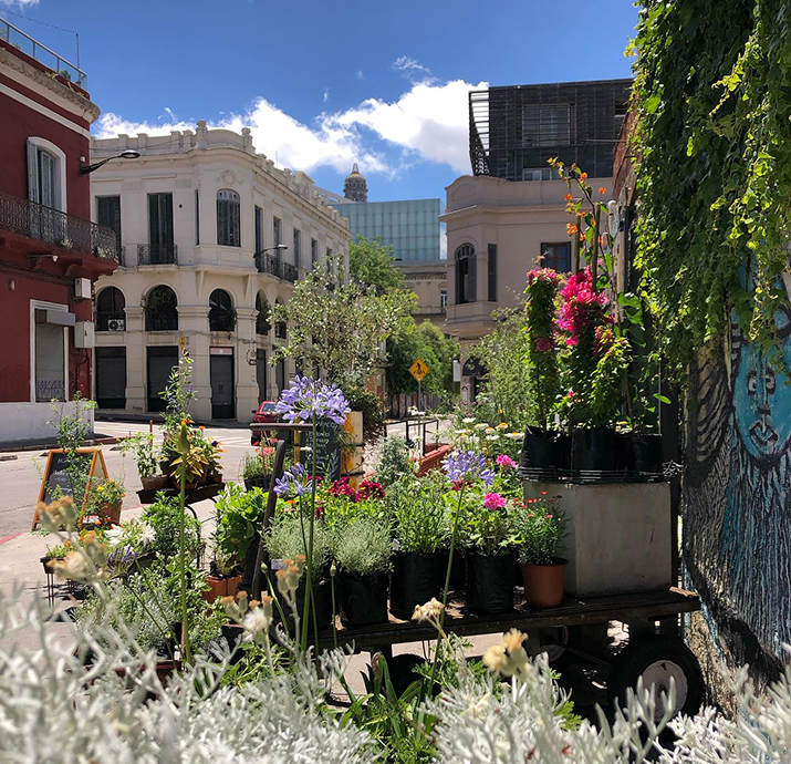 PALÁN PALÁN VIVERO DE CERCANÍA