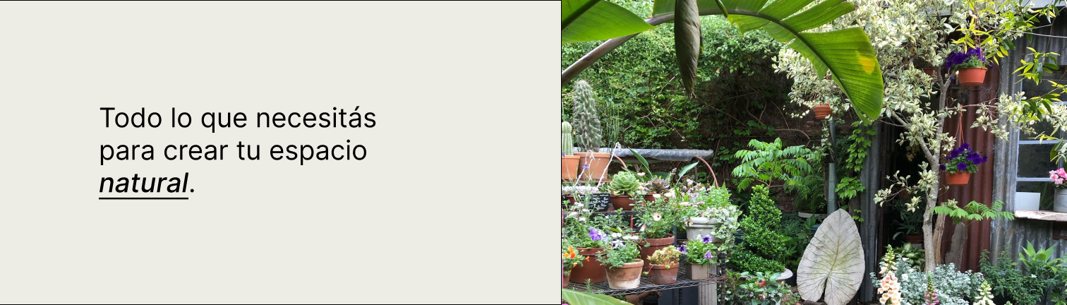 PALÁN PALÁN VIVERO DE CERCANÍA Todo lo que necesitas